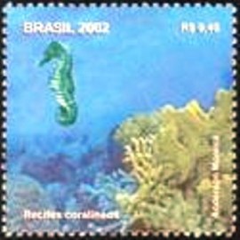Selo postal do Brasil de 2002 Cavalo-marinho e Corais