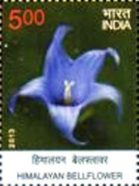 Selo postal da Índia de 2013 Himalayan Bellflower