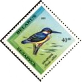 Selo postal da Bielorússia de 1994 Common Kingfisher