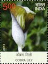 Selo postal da Índia de 2013 Cobra Lily