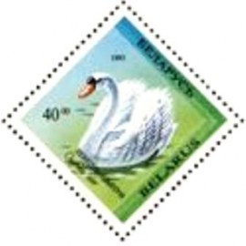 Selo postal da Bielorússia de 1994 Mute Swan