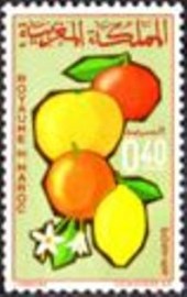 Selo postal da Marrocos de 1966 Citrus