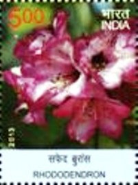 Selo postal da Índia de 2013 Rhododendron