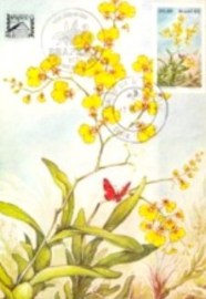 Máximo Postal do Brasil nº 69 de 1982 Orquídeas 80