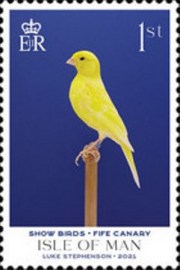 Selo postal da Ilha de Man de 2021 Fife Canary