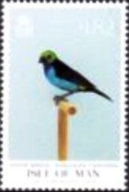 Selo postal da Ilha de Man de 2021 Paradise Tanager