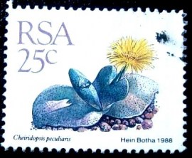 Selo postal da África do Sul de 1988 Cheiridopsis peculiaris