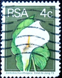 Selo postal da África do Sul de 1974 Calla Lily