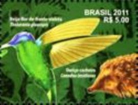 Selo postal do Brasil de 2011 Violet-capped Woodnymph