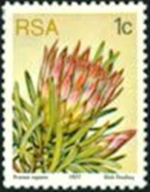 Selo postal da África do Sul de 1977 Protea repens