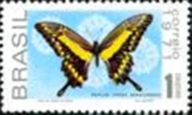 Selo postal Comemorativo do Brasil de 1971 - C 696 N
