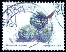 Selo postal da África do Sul de 1988 Trichocaulon cactiforme