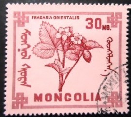 Selo postal da Mongólia de 1968 Strawberries