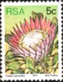 Selo postal da África do Sul de 1977 King Protea