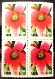 Quadra de selos postais do Brasil de 1977 Neoregelia Carolinae M