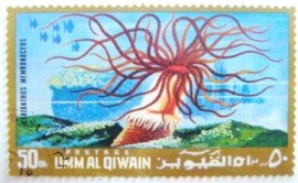 Selo postal de Umm Al Qiwain de 1972 Cylinder Anemone