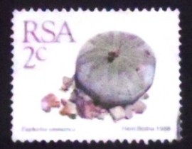 Selo postal da África do Sul de 1988 Euphorbia symmetrica