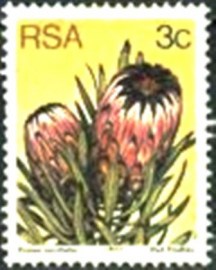 Selo postal da África do Sul de 1977 Oleanderleaf protea