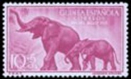 Selo postal da Guiné Espanhola de 1957 African Forest Elephant