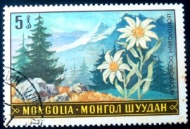Selo postal da Mongólia de 1969 Leontopodium ochroleucum