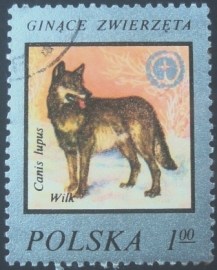 Selo postal da Polônia de 1977 Wolf Canis Lupus
