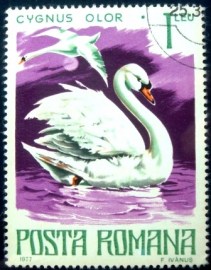 Selo postal da Romênia de 1977 Mute Swan