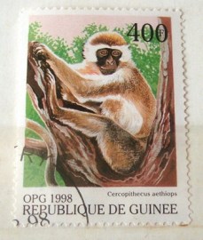 Selo postal Comemorativo Republica Guinee 1998 Green Monkey