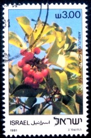 Selo postal de Israel de 1981 Arbutus andrachne