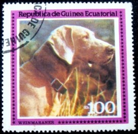 Selo postal da Guinea Ecuatorial de 1978 Weimaraner