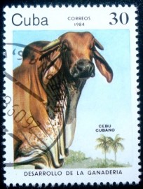 Selo postal de Cuba de 1984 Cuban Zebue