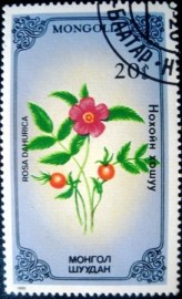 Selo postal da Mongólia de 1985 Rosa dahurica