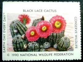 Selo cinderela de 1990 Black Lace Cactus