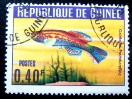Selo postal da Guiné de 1964 Golden Pheasant