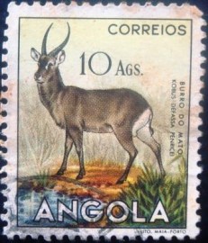 Selo postal regular de 1953 - Angola - 384 U