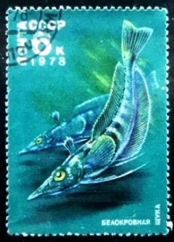 Selo postal da União Soviética de 1978 Mackerel Icefish