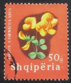Selo postal da Albânia de 1965 Bird's-foot Trefoil