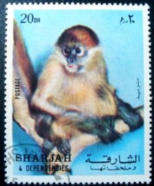 Selo postal de Sharjah de 1972 Guenon