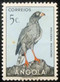 Selo postal de Angola de 1951 Dark Chanting-Goshawk