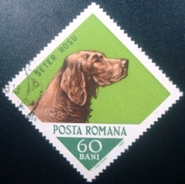 Selo postal da Romênia de 1965 Irish Setter