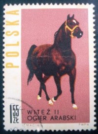 Selo postal da Polônia de 1963 Arab Stallion
