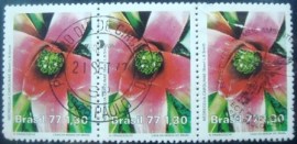 Tira de selos postais do Brasil de 1977 Neoregelia Carolinae