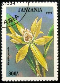 Selo postal da Tanzânia de 1994 Cyrtanthus
