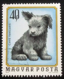 Selo postal da Hungria de 1974 Dog