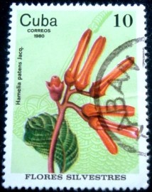 Selo postal de Cuba de 1980 Hamelia patens