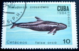 Selo postal de Cuba de 1984 False Killer Whale