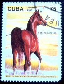 Selo postal de Cuba de 1995 Chestnut Arabian Horse