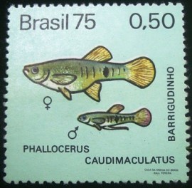Selo postal Comemorativo do Brasil de 1975 - C 889 M