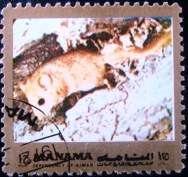 Selo postal do Manama de 1972 Mouse