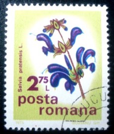 Selo postal da Romênia de 1975 Meadow Sage
