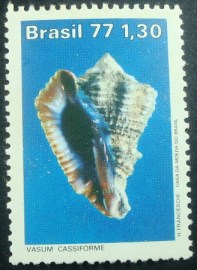 Selo postal do Brasil de 1977 Vasum Cassiforme